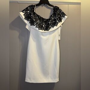 Badgley Mischka Collection Dress with Black Lace